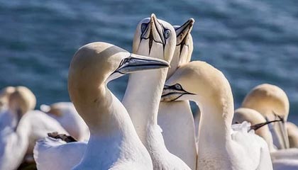 kaiyun体育综合-【裁判讲堂】罚分判决中的细节与争议分析，判罚金的标准